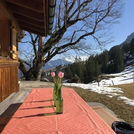 Apartamento Chalet Obhegli, Ruhige Oase *