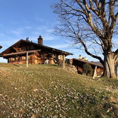Chalet Obhegli, Ruhige Oase *